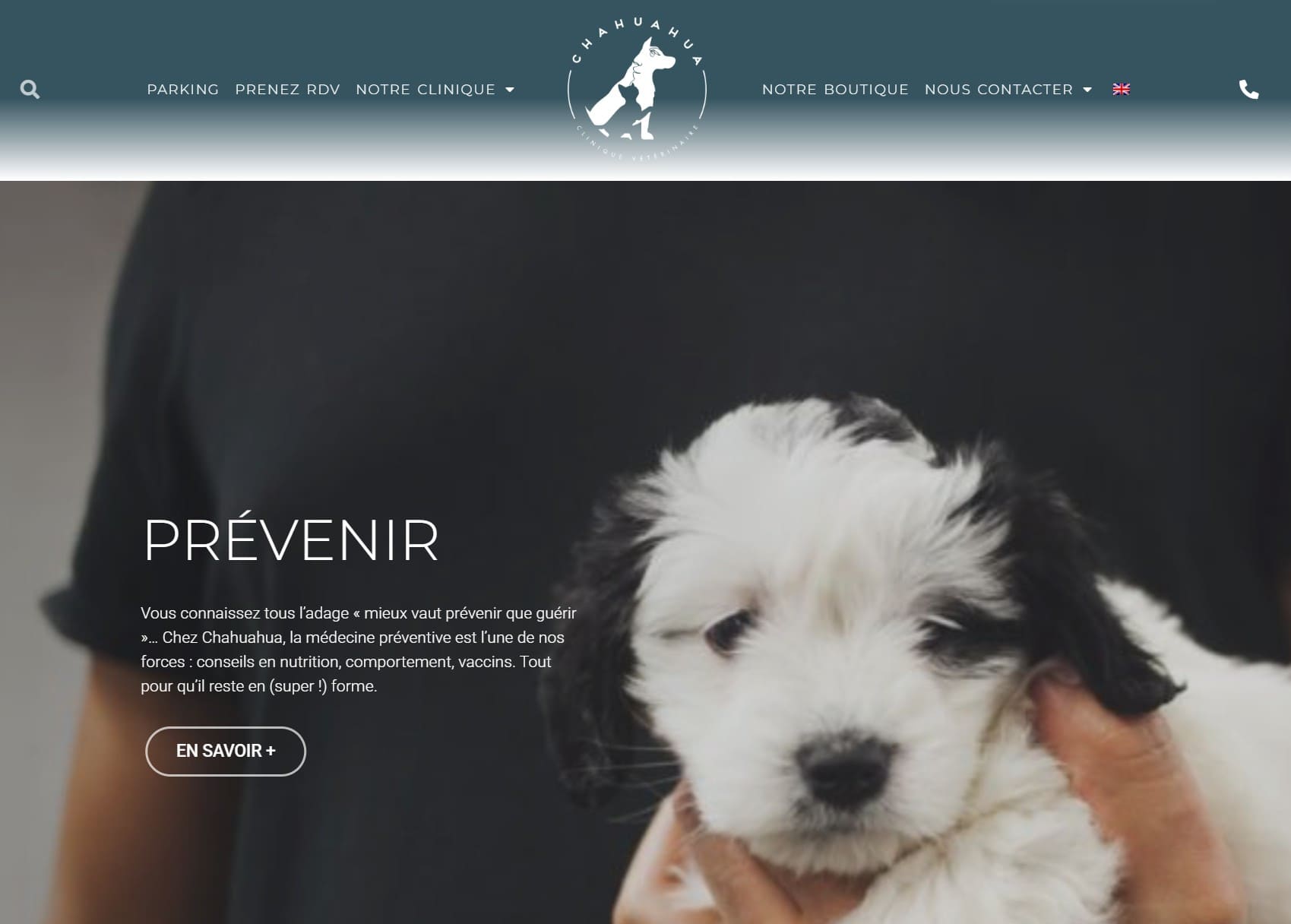 Aperçu du site Chahuahua